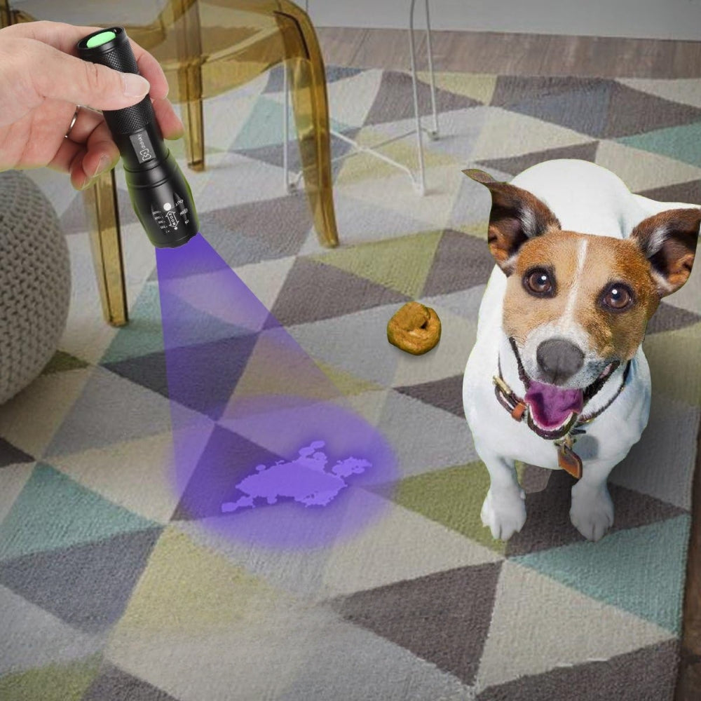 2 Mode UV Ultra Violet Light & Flashlight Black light 395nm Inspection Torch Zoom