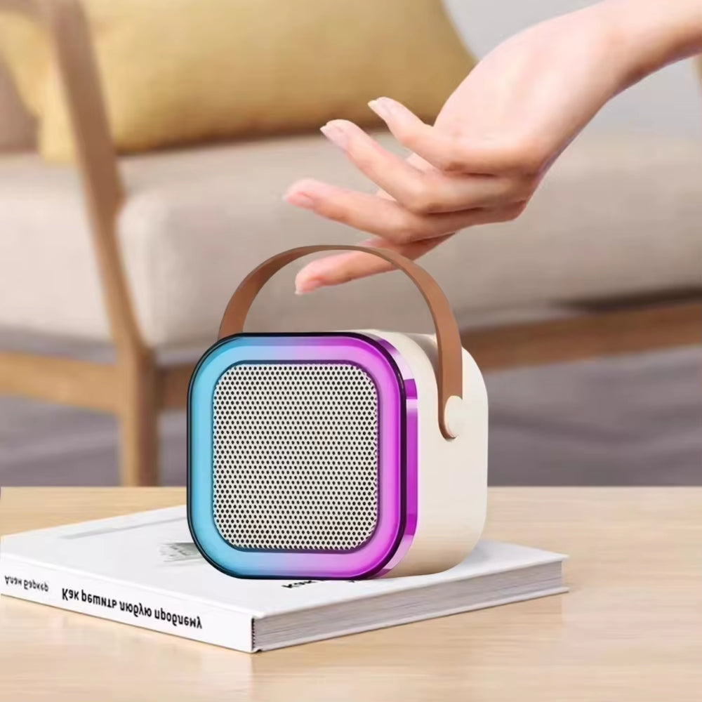 Professional Wireless Microphones Bluetooth Speaker